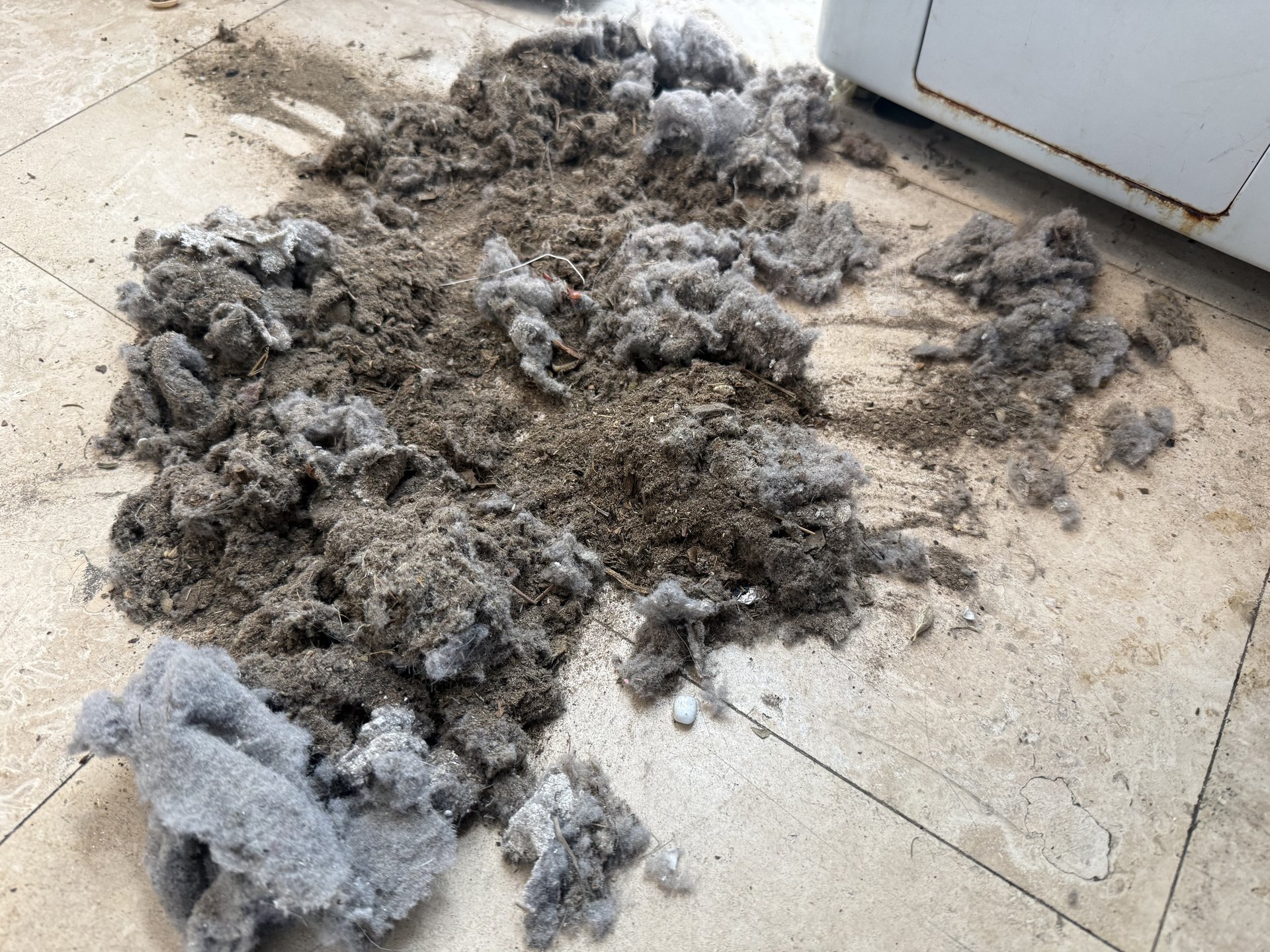 Pile of lint pulled from inside dryer during Family Touch cleaning service