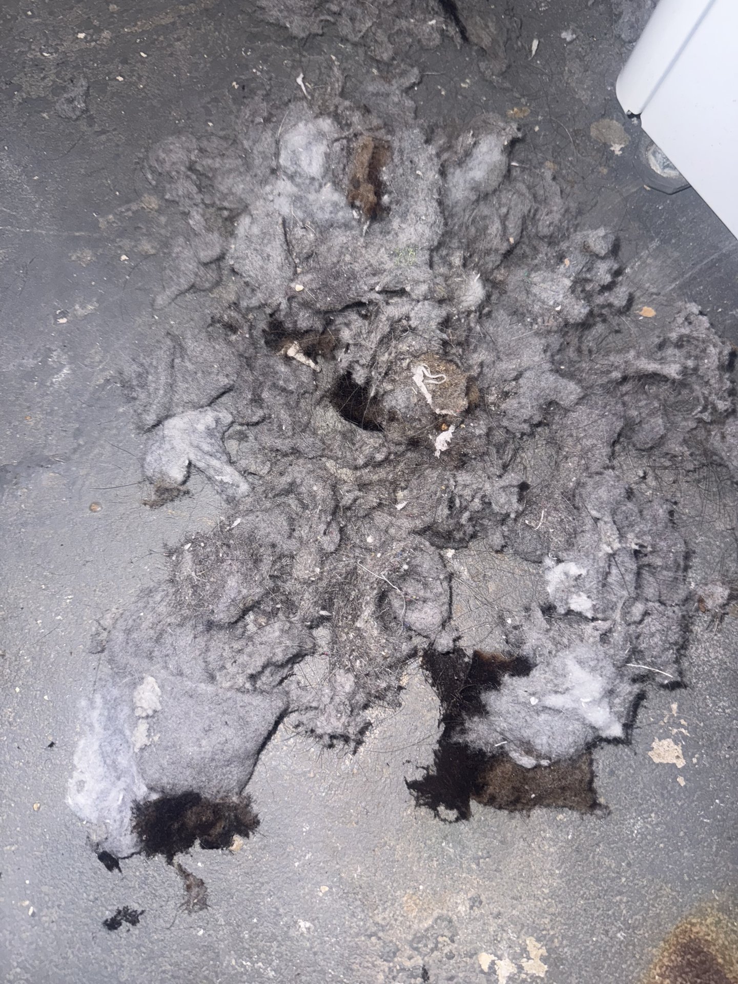 Lint pulled from dryer vent hose during Family Touch dryer vent cleaning