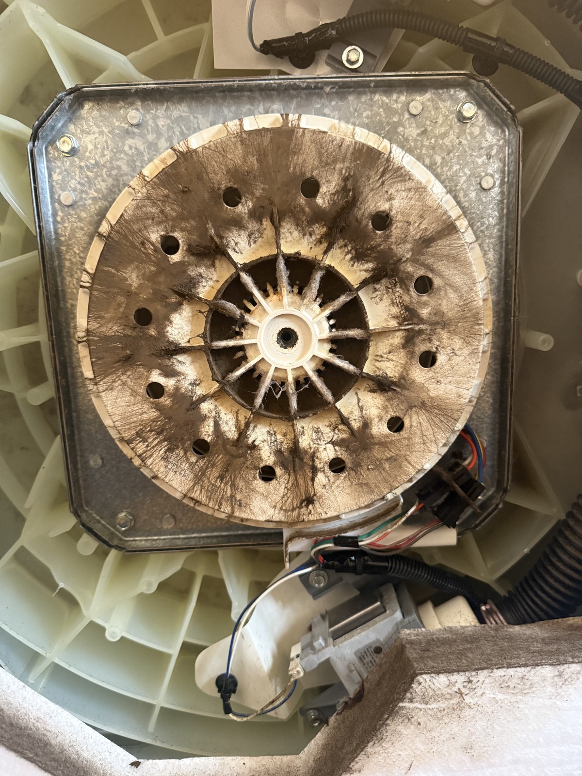 Whirlpool or Maytag washer drive hub spider with rust corrosion showing the classic failure pattern